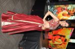 Pragya Jaiswal in Payal Singhal and curio cottage jewellery on 17th Sept 2015 (114)_55fbbf9047a63.jpg