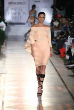 Model walk the ramp for Shivan Naresh on day 1 of Amazon india fashion week on 7th Oct 2015 (156)_56160e196b271.JPG