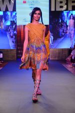 Model walk the ramp for James Ferriera Show at Gionee india beach fashion week day 1 on 29th Oct 2015 (17)_56331d8462747.JPG