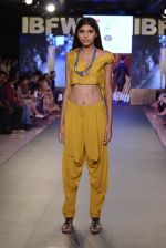 Model walk the ramp for James Ferriera Show at Gionee india beach fashion week day 1 on 29th Oct 2015 (22)_56331d8a30ceb.JPG