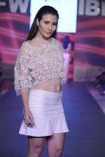 Model walk the ramp for Mohite Show at Gionee india beach fashion week day 1 on 29th Oct 2015 (24)_56331dc625bf2.JPG