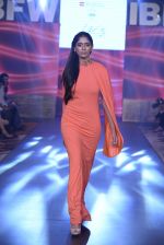 Model walk the ramp for Mohite Show at Gionee india beach fashion week day 1 on 29th Oct 2015 (6)_56331d9793652.JPG