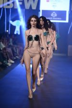 Model walk the ramp for Lalit Dalmia Show on day 2 of Gionee India Beach Fashion Week on 30th Oct 2015 (94)_5635ce4d9775b.JPG