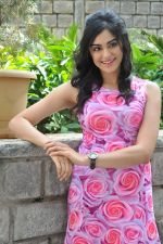 Adah Sharma photo shoot on 14th Nov 2015 (5)_56482dd7b5db0.jpg