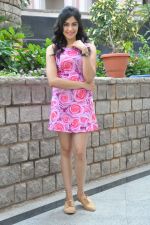 Adah Sharma photo shoot on 14th Nov 2015 (60)_56482df5b297e.jpg