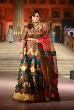 Leena Singh Show at Cancer Society of Hope fashion show in Delhi on 15th Nov 2015  (2)_56498b7f329d5.jpg