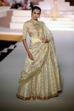 Model walk the ramp for Threads of Banares fashion show in Delhi on 15th Nov 2015 (5)_56498b90e8503.jpg