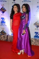 at Zee Rishtey Awards in Mumbai on 21st Nov 2015 (188)_56515e373aedb.JPG