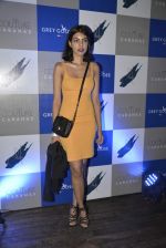 at Couture Cabana hosted at Asilo on 27th Nov 2015 (32)_565b02059928f.JPG