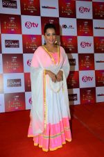 Meghna Naidu at Indian telly awards red carpet on 28th Nov 2015 (59)_565c3b437abb9.JPG