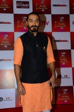 at Indian telly awards red carpet on 28th Nov 2015 (102)_565c39be954dc.JPG
