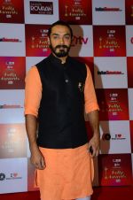 at Indian telly awards red carpet on 28th Nov 2015 (103)_565c39bf9a311.JPG