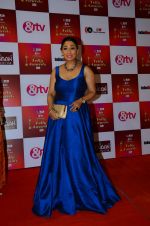 at Indian telly awards red carpet on 28th Nov 2015 (286)_565c3a14223d9.JPG