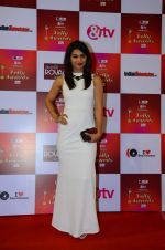 at Indian telly awards red carpet on 28th Nov 2015 (381)_565c3a51a8d1e.JPG