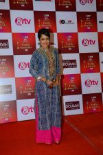 at Indian telly awards red carpet on 28th Nov 2015 (411)_565c3a59f0177.JPG