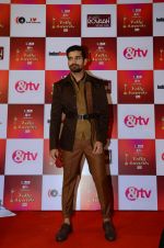 at Indian telly awards red carpet on 28th Nov 2015 (466)_565c3a7385196.JPG