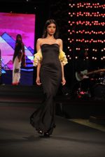 Model walk the ramp on the 2nd Day of Blenders Pride Fashion Tour in Grand Hyatt on 5th Dec 2015 (95)_5663a3a1d6d3e.JPG