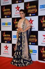 Sana Khan at Big Star Awards in Mumbai on 13th Dec 2015 (241)_566eb31d22a38.JPG