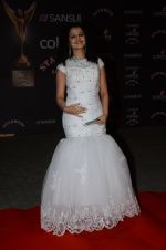 Palak Muchhal at the red carpet of Stardust awards on 21st Dec 2015 (579)_56793e5b6c246.JPG