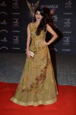 at the red carpet of Stardust awards on 21st Dec 2015 (392)_5679543cc76ae.JPG