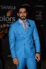 at the red carpet of Stardust awards on 21st Dec 2015 (651)_56793d731ab40.JPG