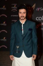 at the red carpet of Stardust awards on 21st Dec 2015 (877)_56793dea21a20.JPG