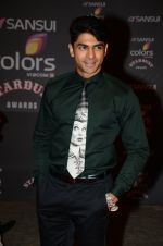 at the red carpet of Stardust awards on 21st Dec 2015 (929)_56793dfdbddb9.JPG