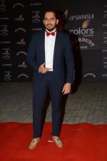 at the red carpet of Stardust awards on 21st Dec 2015 (984)_56793e3ad1bd1.JPG