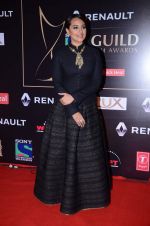 Sonakshi Sinha at Producer_s Guild Awards on 22nd Dec 2015 (138)_567a7868f2ac7.JPG
