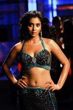 Shriya Saran  (6)_5688f9722d167.jpg