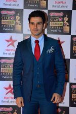 Girish Kumar at Star Screen Awards Red Carpet on 8th Jan 2016 (415)_56935e1ddc722.JPG