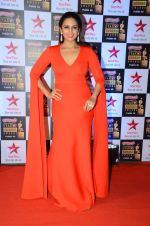 Huma Qureshi at Star Screen Awards Red Carpet on 8th Jan 2016 (342)_56935e298a4c4.JPG