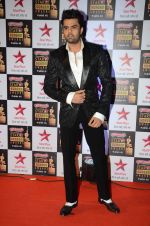 Manish Paul at Star Screen Awards Red Carpet on 8th Jan 2016 (127)_56935ee38155b.JPG
