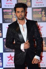 Manish Paul at Star Screen Awards Red Carpet on 8th Jan 2016 (279)_56935ee50835e.JPG