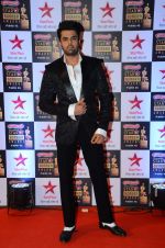 Manish Paul at Star Screen Awards Red Carpet on 8th Jan 2016 (280)_56935ee5a2334.JPG