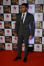 Ranveer Singh at Star Screen Awards Red Carpet on 8th Jan 2016 (96)_56935fbf0d45c.JPG