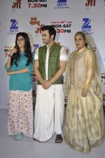 at Zee launches prime time show Meri Sasu Maa on 12th Jan 2016 (18)_569613905d5ce.JPG