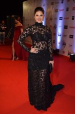 Sunny Leone at Filmfare Awards 2016 on 15th Jan 2016 (304)_569b4870778b8.JPG