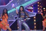 Jacquline pays a tribute to Parveen Babi at Star Screen Awards 2016_56a3622c4ea49.JPG