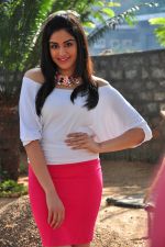 Adah Sharma Photo Shoot on 29th Jan 2016 (118)_56acb812c8050.jpg