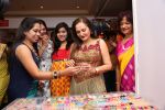 Jayapradha at Lavishh Expo in Hyderabad on 2nd Feb 2016 (103)_56b1b4212c7c5.jpg