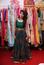 at Lavishh Expo in Hyderabad on 2nd Feb 2016 (225)_56b1b3d43a0bd.jpg