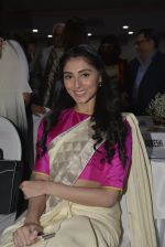Perina Qureshi at make in India on 15th Feb 2016 (8)_56c2c569c14d8.JPG