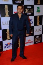Salman Khan at zee cine awards 2016 on 20th Feb 2016 (522)_56c99c815d241.JPG