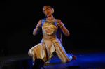 Pernia Qureshi_s dance recital at NCPA on 26th Feb 2016 (14)_56d18c55ca8b2.JPG