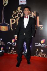 at Golden Petal Awards in Mumbai on 6th March 2016 (171)_56dd2dfe6c9e8.JPG