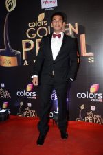 at Golden Petal Awards in Mumbai on 6th March 2016 (172)_56dd2dff6a186.JPG