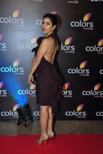 Sophie Chaudhary at Colors red carpet on 12th March 2016 (156)_56e555845bef3.JPG