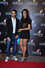 at Colors red carpet on 12th March 2016 (199)_56e5536ac271a.JPG