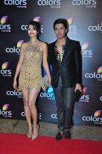 at Colors red carpet on 12th March 2016 (258)_56e553847b1f8.JPG